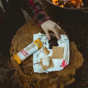 Delicious Vegan Protein Bars
