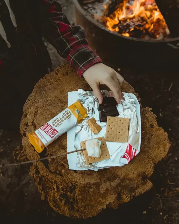 Delicious Vegan Protein Bars